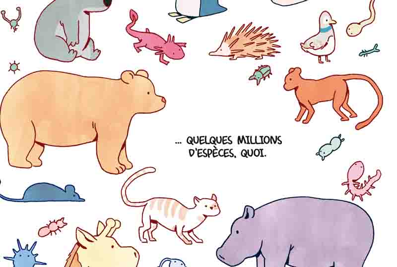 DirtyBiology – Léo & Colas Grasset