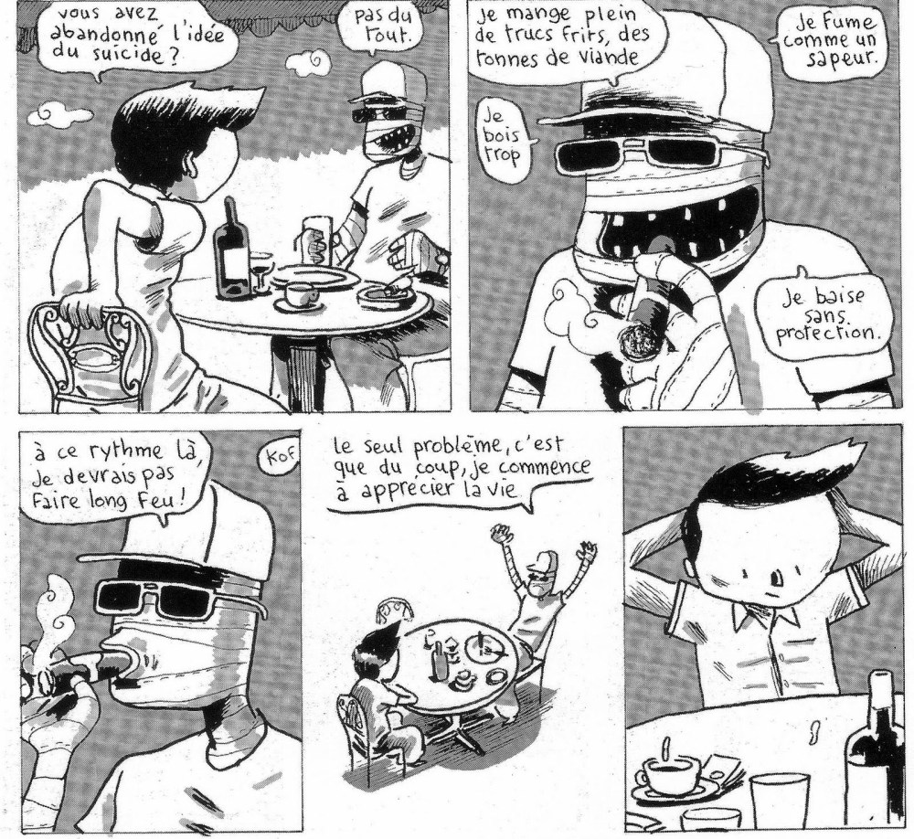 Comment je suis devenu stupide (Nikola Witko/Martin Page)